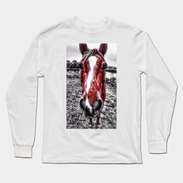 Why The Long Face?  - Graphic 1 Long Sleeve T-Shirt by davidbstudios